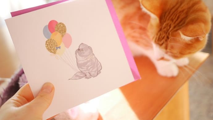 頂いたプレゼント♡ユズちゃん