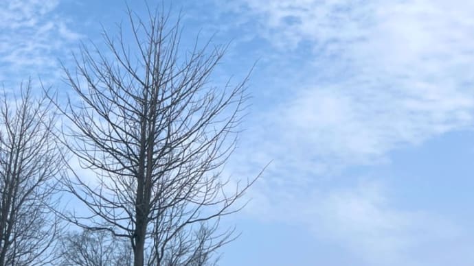 つかの間の青空
