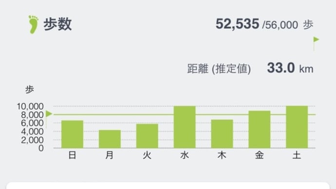先週の活動量 2/5〜2/11