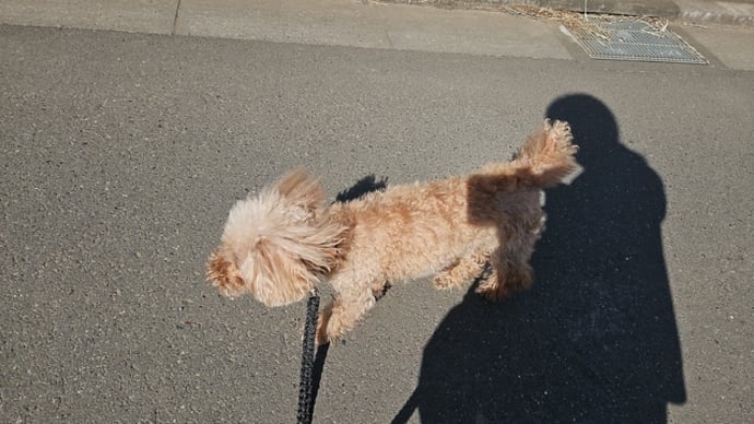 やっとやっと