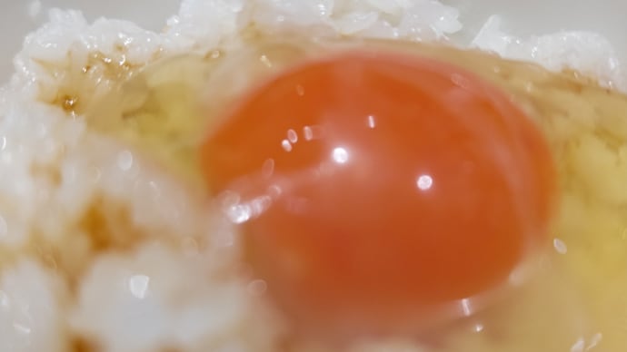 らーめん七彩飯店(八重洲地下街)