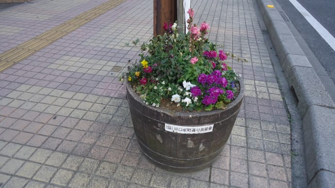 川口本町通り歩道の花壇