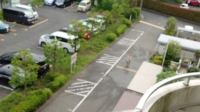 母の介護保険認定調査の面談