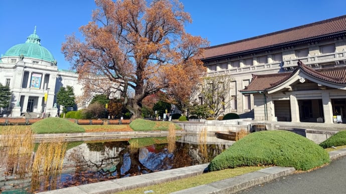 東京国立博物館へ（11月末の話）