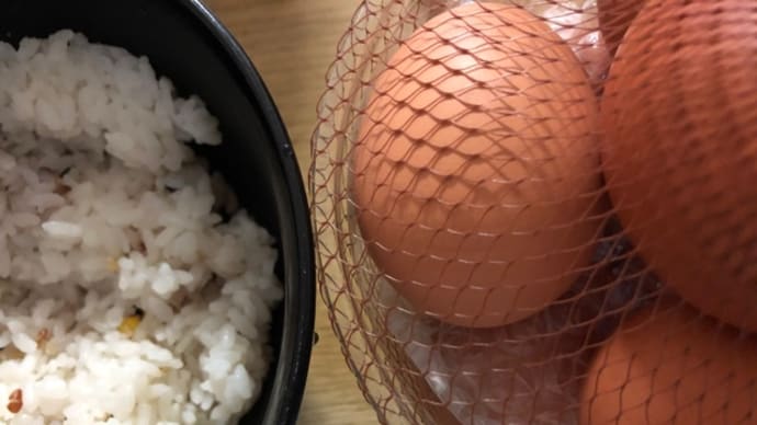 今年は「噛む食育」本格的にスタートしました 筑紫野市原田 のりこキッズマム歯科医院