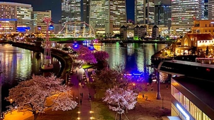 桜を楽しみに大好きな横浜へ(その3)