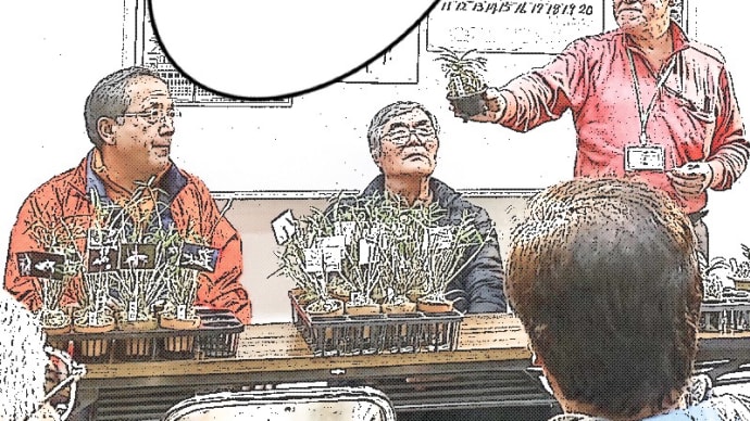 6月2日は新富貴蘭研究会