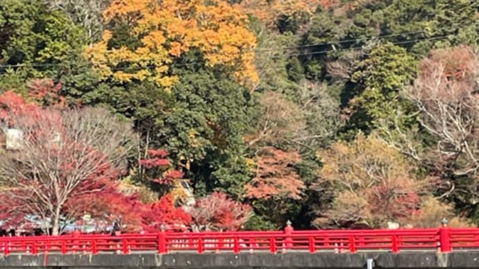 滋賀県永源寺の紅葉