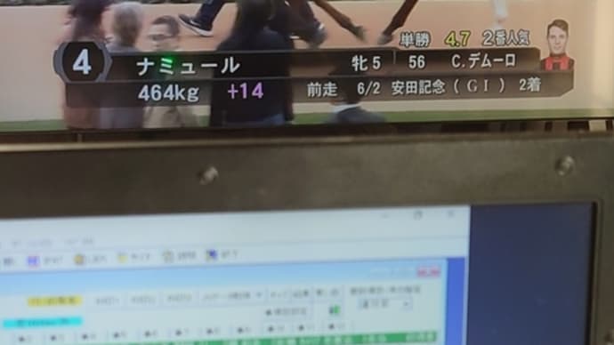 ナミュール〜マイルチャンピオンシップ連覇ならず