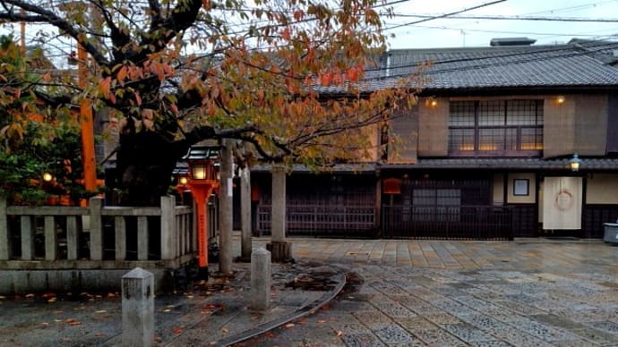 京都・祇園白川「桜葉紅葉」