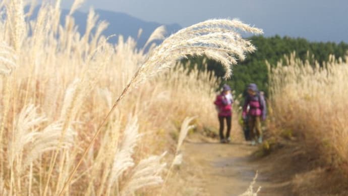 2021年11月25日(木) とち谷・長尾ルートから、お手軽に岩湧山へ!