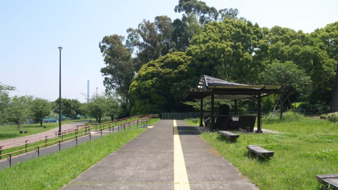 5月の夢の島公園:第五福竜丸展示館敷地前から第二(北)駐車場前へ PART1