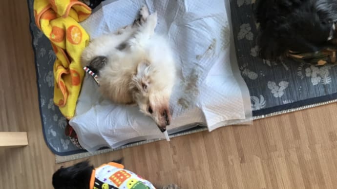 友達愛