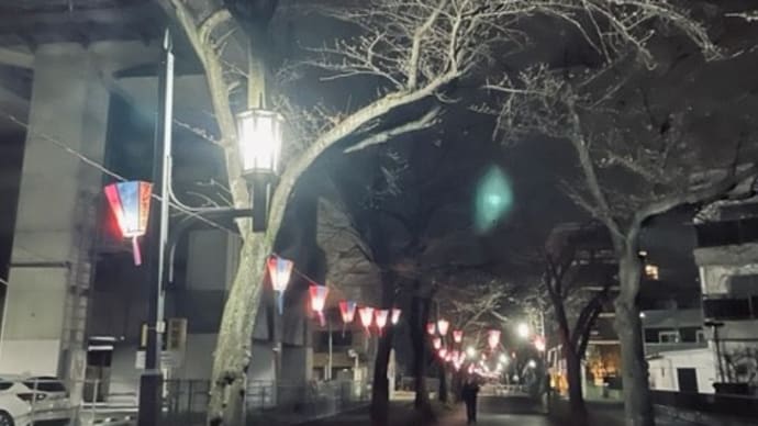 どうする、私!?