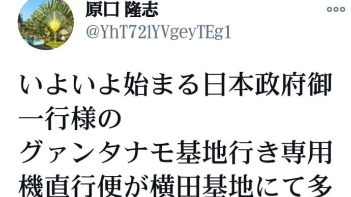 日本政府御一行様のトランプ軍グァンタナモ基地行き専用機直行便が横田基地にて多数待機して準備中!いよいよ始まる!トランプ軍安倍晋三のように逮捕処刑!警察上層部20人や闇天皇・李家はメディアは殺人組織