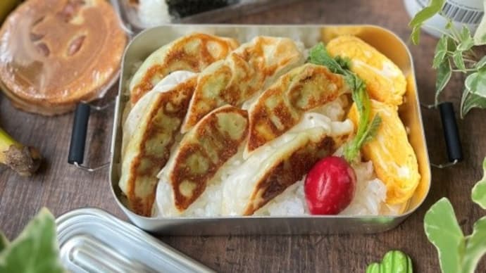 今日の2食弁当~餃子弁当&おにぎり