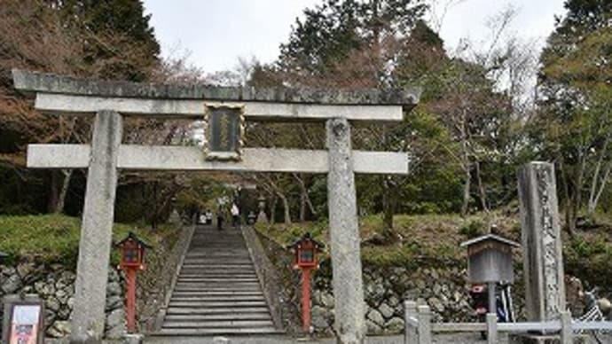 大原野神社 の 桜