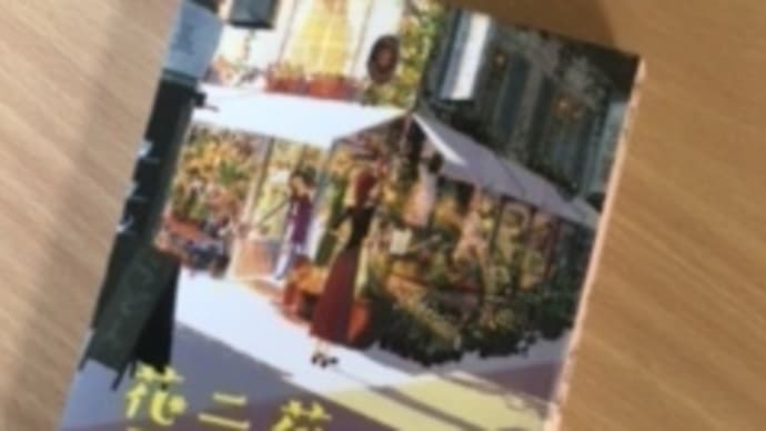 通勤読書　494　商店街の出来事