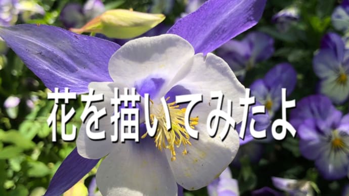 花を描いてみた。(オダマキ)