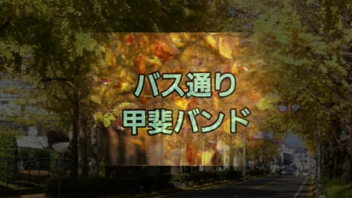 【バス通り】唄ってみました。