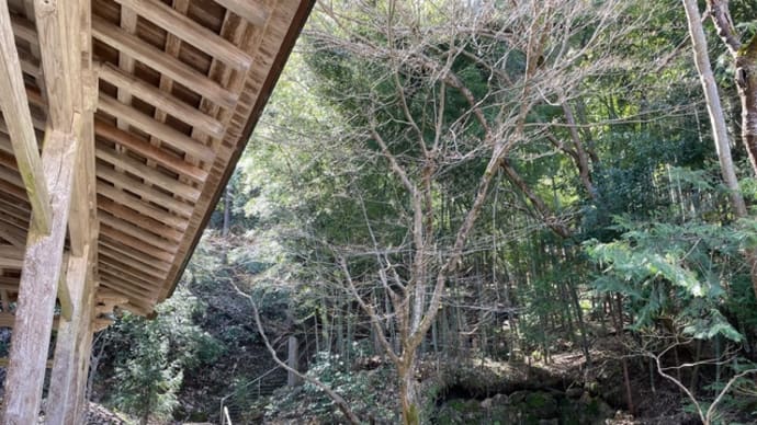 23/03/20 千歳山登頂4回目 ついでに雷神山と秋葉山も初登頂