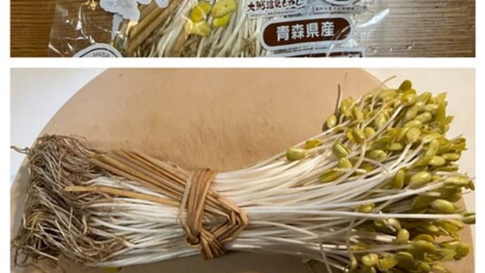 もやしはもやしでも・・・♪