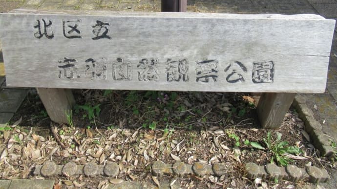 久しぶりの赤羽自然観察公園