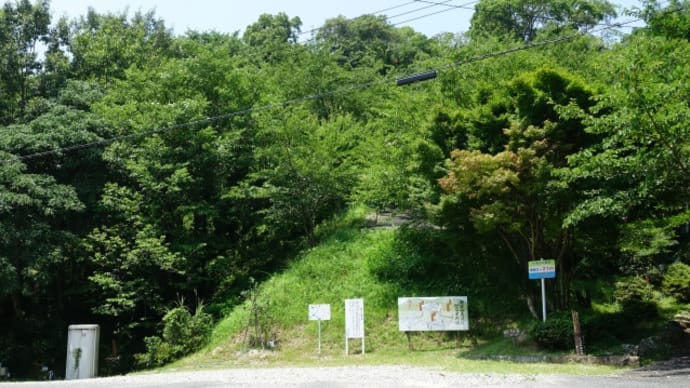 朝日山から矢田池