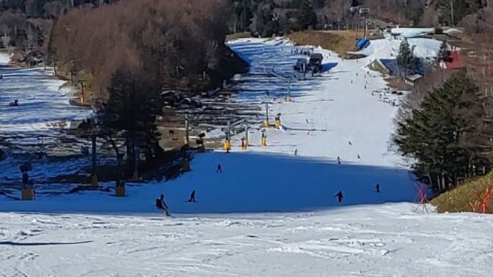 【2023-2024スキーシーズン】３回目のスキー（練習ポイント付き）