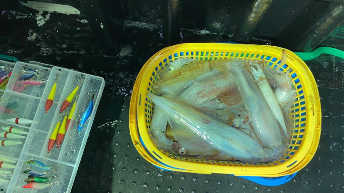 釣果情報