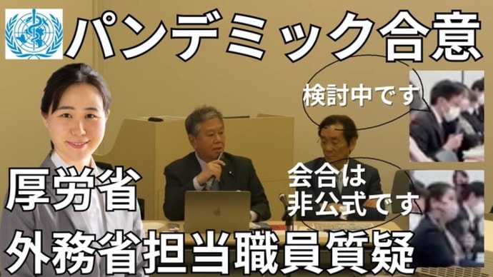 【我那覇真子さん解説】パンデミック合意は国民に内緒で水面下で進められている!