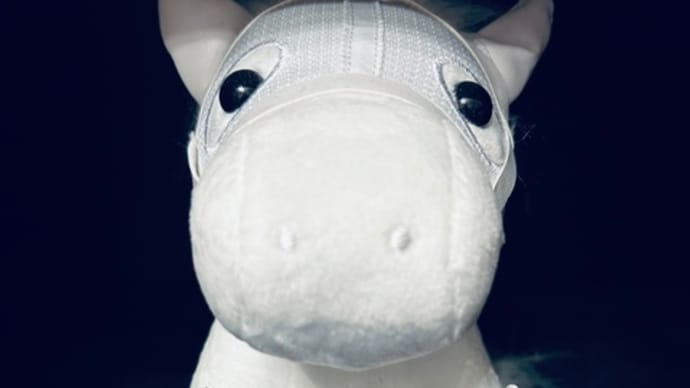 ◆ソダシ◆