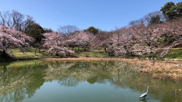 のんびり散策