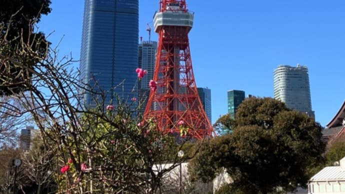 東京タワー 定点撮影