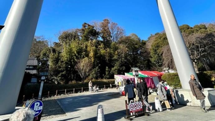 千葉県野田市　櫻木神社　今年は流水札と福龍登場！