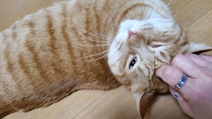 感じることに素直に😺
