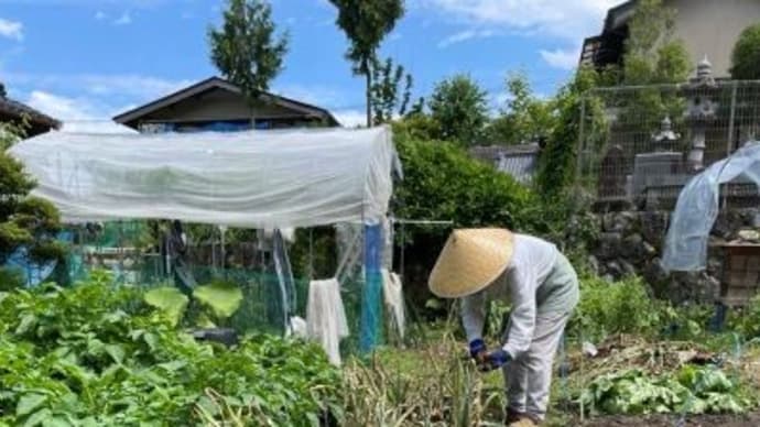みんな消えてしまうから。