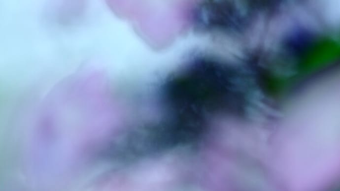素敵に自分流