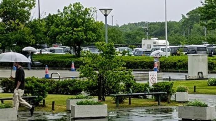 雨の金曜日
