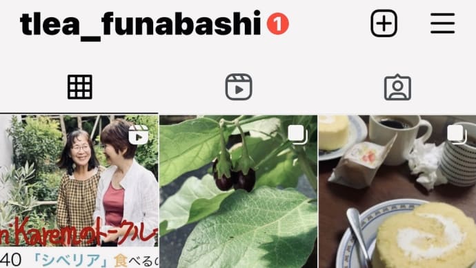 Instagram 紹介