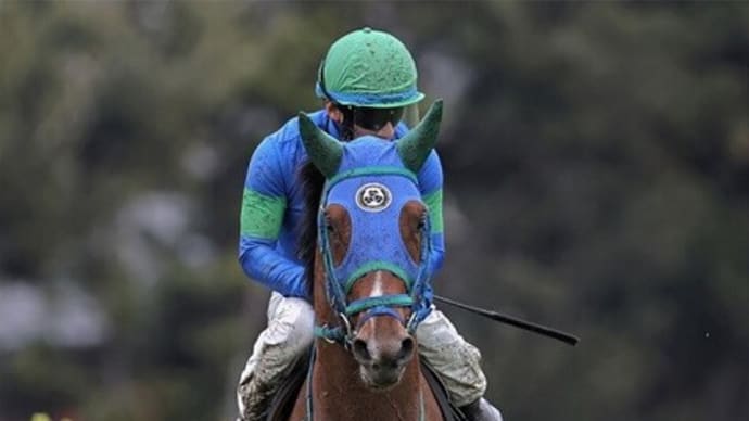 【カイザーノヴァ】熱感が完全に取れるまでは騎乗を控えて