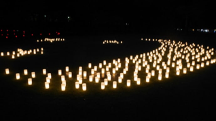 奈良 燈花会 2014