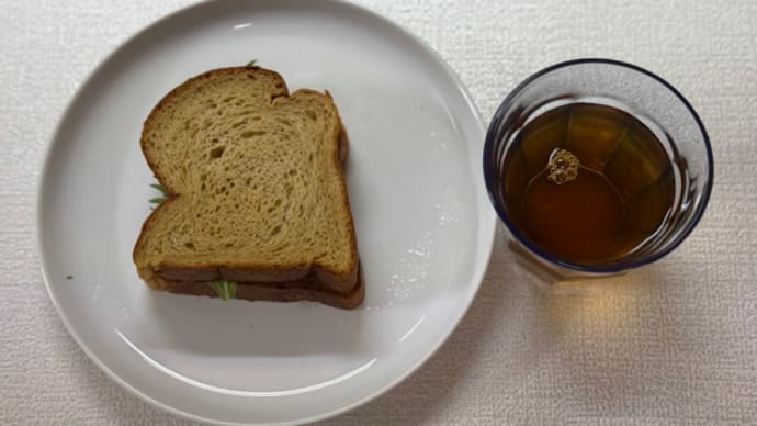 予定のある休日