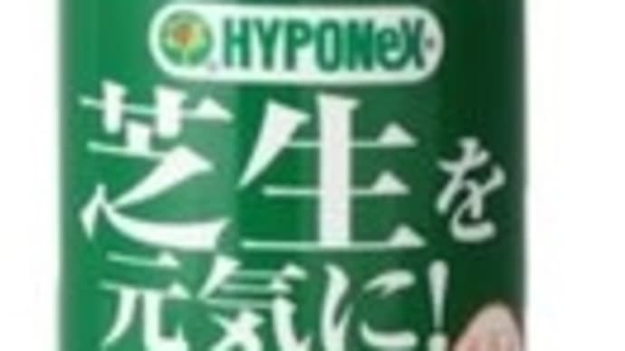 今もわからない、、、