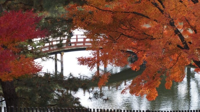 旧大乗院庭園ー奈良へ紅葉狩りⅥ