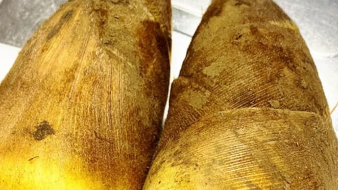 美肌をつくる春におすすめの旬の食材