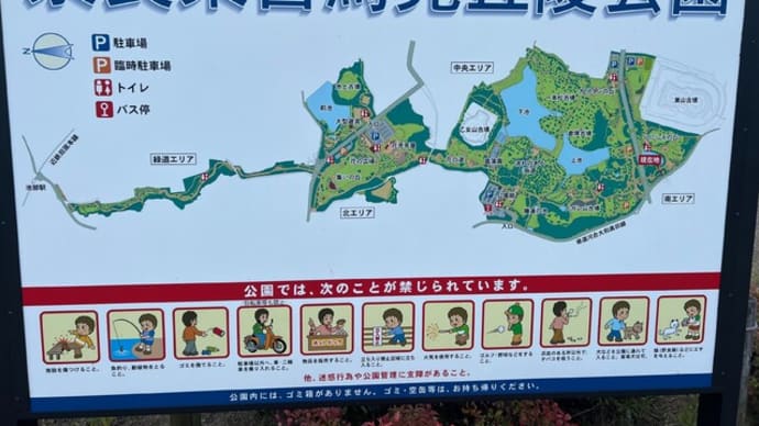 夕暮れの馬見丘陵公園散策