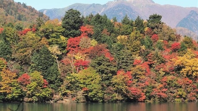 中禅寺湖の紅葉
