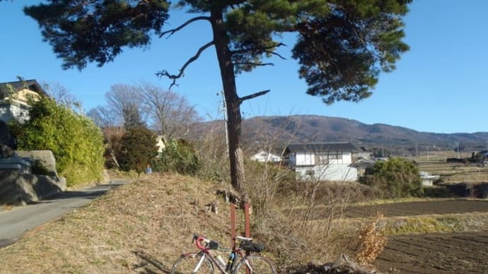 松本平東山山麓、塩尻市南内田の御柱