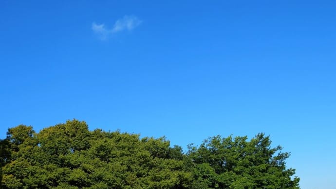 旅行の思い出
